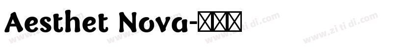 Aesthet Nova字体转换